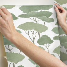 Load image into Gallery viewer, Umbrella Pines Peel + Stick Wallpaper
