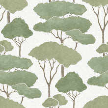 Load image into Gallery viewer, Umbrella Pines Peel + Stick Wallpaper