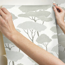 Load image into Gallery viewer, Umbrella Pines Peel + Stick Wallpaper