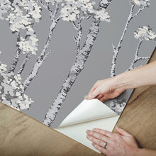 Load image into Gallery viewer, Birch Grove Peel + Stick Wallpaper