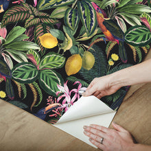 Load image into Gallery viewer, Tamara Day Mirage Oasis Peel + Stick Wallpaper