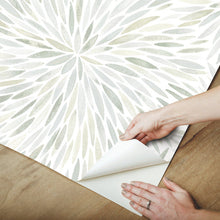 Load image into Gallery viewer, Cat Coquillette Burst Peel + Stick Wallpaper