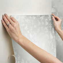 Load image into Gallery viewer, Disney 100th Anniversary Characters Peel + Stick Wallpaper