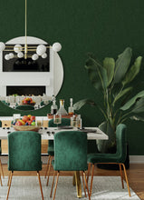 Load image into Gallery viewer, Emily Rayna Lineation Peel + Stick Wallpaper