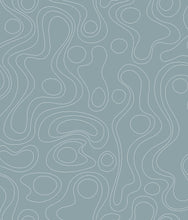 Load image into Gallery viewer, Emily Rayna Lineation Peel + Stick Wallpaper