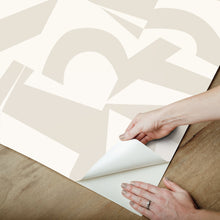 Load image into Gallery viewer, Emily Rayna Inside the Box Peel + Stick Wallpaper