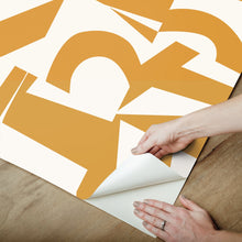 Load image into Gallery viewer, Emily Rayna Inside the Box Peel + Stick Wallpaper