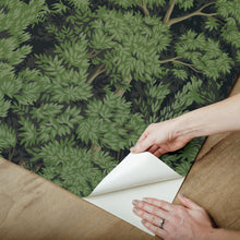 Load image into Gallery viewer, Ardian Peel + Stick Wallpaper