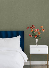 Load image into Gallery viewer, Mr. Kate Daphne Limewash Peel + Stick Wallpaper