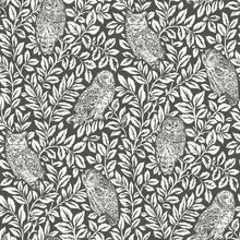 Load image into Gallery viewer, Forest Owls Peel + Stick Wallpaper