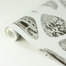 Load image into Gallery viewer, Scalamandré Coquina Peel + Stick Wallpaper