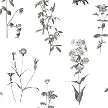 Load image into Gallery viewer, Botanical Peel + Stick Wallpaper