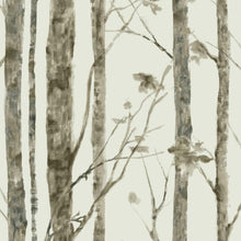 Load image into Gallery viewer, Birch Trees Peel + Stick Wallpaper