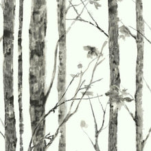 Load image into Gallery viewer, Birch Trees Peel + Stick Wallpaper