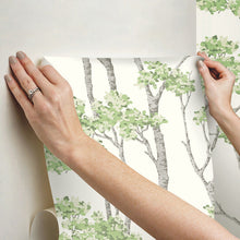 Load image into Gallery viewer, Birch Grove Peel + Stick Wallpaper
