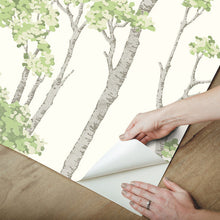 Load image into Gallery viewer, Birch Grove Peel + Stick Wallpaper
