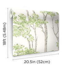 Load image into Gallery viewer, Birch Grove Peel + Stick Wallpaper
