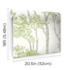 Birch Grove Peel + Stick Wallpaper