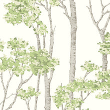 Load image into Gallery viewer, Birch Grove Peel + Stick Wallpaper
