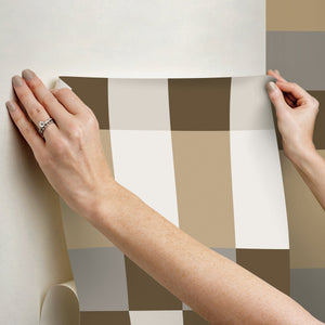 Emily Rayna Framework Peel + Stick Wallpaper