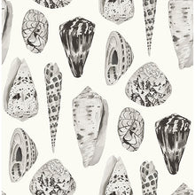 Load image into Gallery viewer, Scalamandré Coquina Peel + Stick Wallpaper
