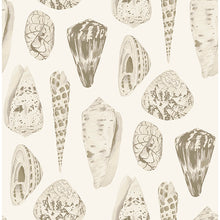 Load image into Gallery viewer, Scalamandré Coquina Peel + Stick Wallpaper
