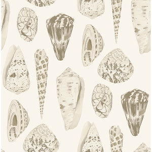 Scalamandré Coquina Peel + Stick Wallpaper