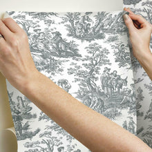 Load image into Gallery viewer, Waverly Country Life Toile Peel + Stick Wallpaper
