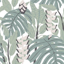 Load image into Gallery viewer, Monstera Leaf Peel + Stick Wallpaper
