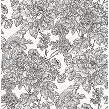 Load image into Gallery viewer, Sketched Floral Peel + Stick Wallpaper
